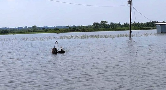image-here